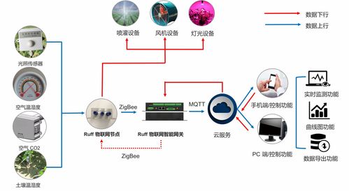 物聯(lián)網(wǎng)技術(shù)在智慧農(nóng)業(yè)中的核心應(yīng)用與服務(wù)體系