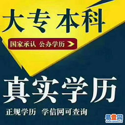 寶安松崗學上教育 高升專專升本專業選擇，一年高效助力學歷提升